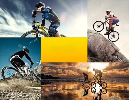 Collage of people riding bicycles in various scenic locations.